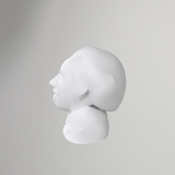 Low poly buste van Albert Einstein