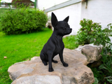 Chihuahuabeeld op een houten plank in een Scandinavisch interieur