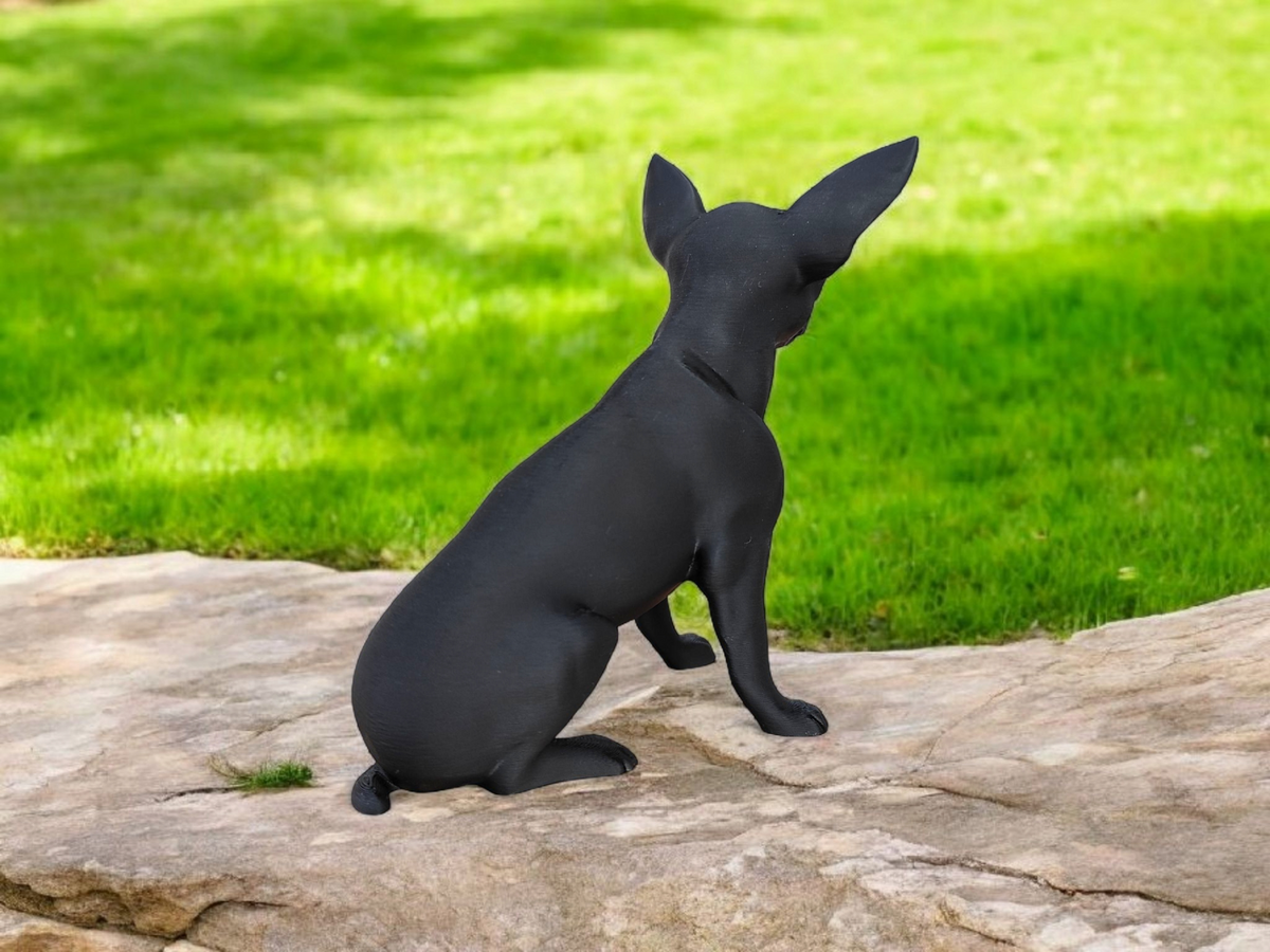 Detail van oppervlak en vorm van het chihuahuabeeld