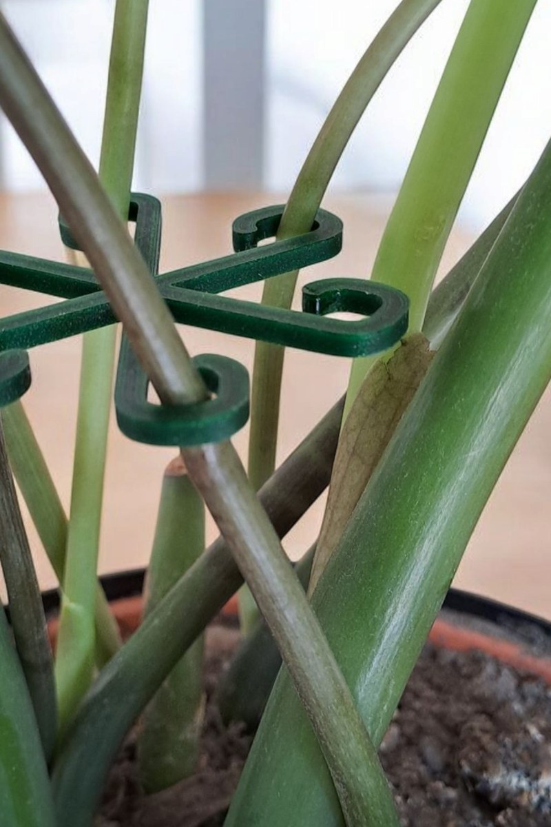 Close-up van een minimalistische plantensteunhaak in een neutrale kleur op witte achtergrond