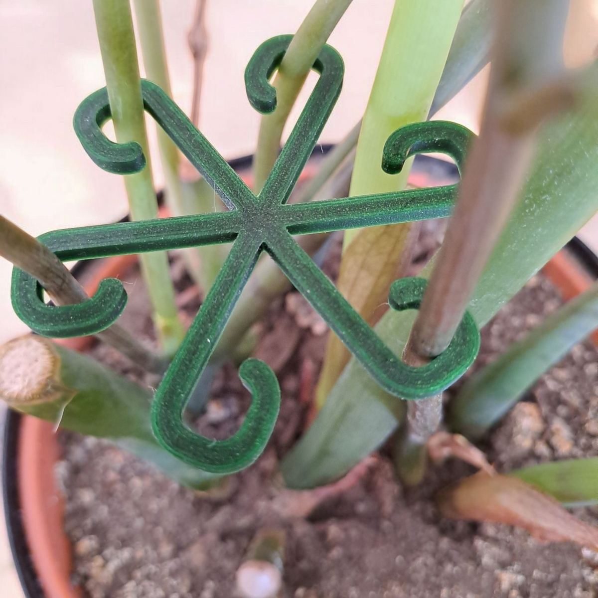 Detail van gebogen plantenhaak met glad, eenvoudig oppervlak