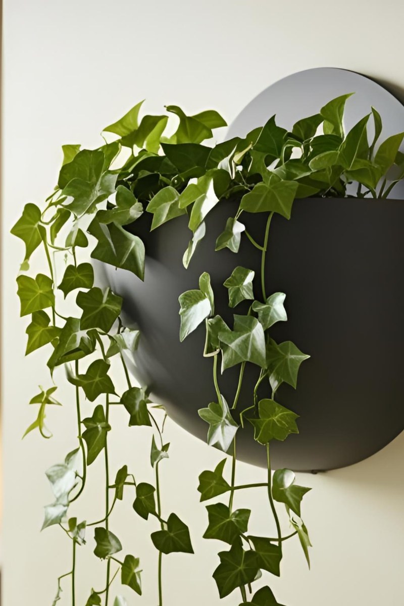 Close-up van een bolvormige wandpot met gladde vorm en opening