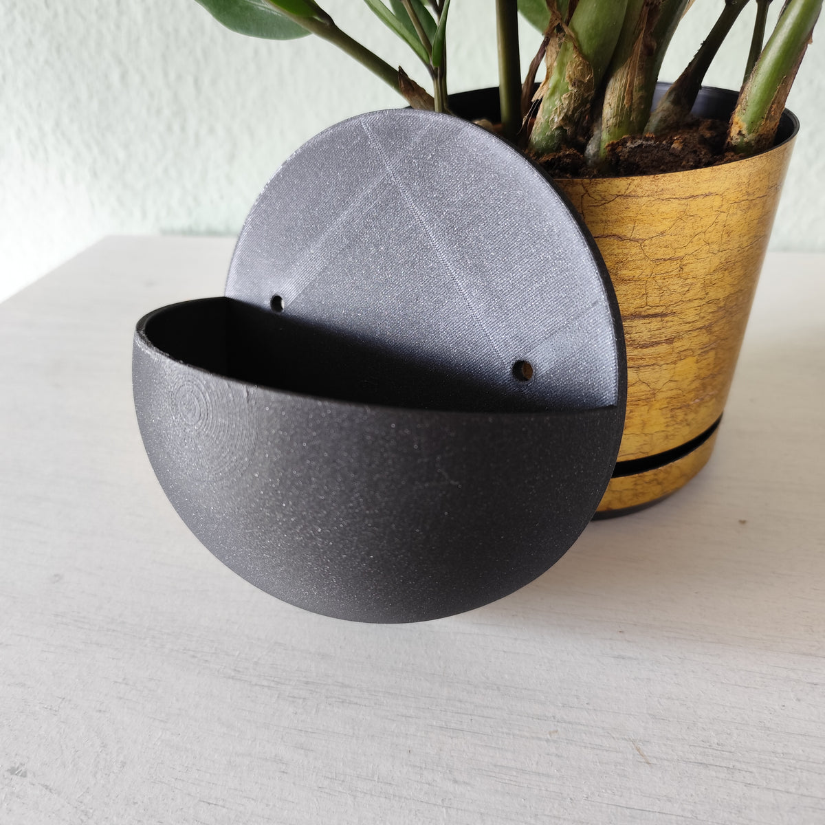 Bolvormige wandbloempot in een hoek van de woonkamer met een groene hangplant