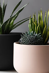 Close-up van een minimalistische ronde witte bloempot met strakke randen