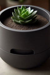 Minimalistische zelfwaterende vetplantenpot met geometrische vorm, close-up