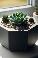 Close-up van een achthoekige vetplantenpot met geometrische vorm en glad oppervlak