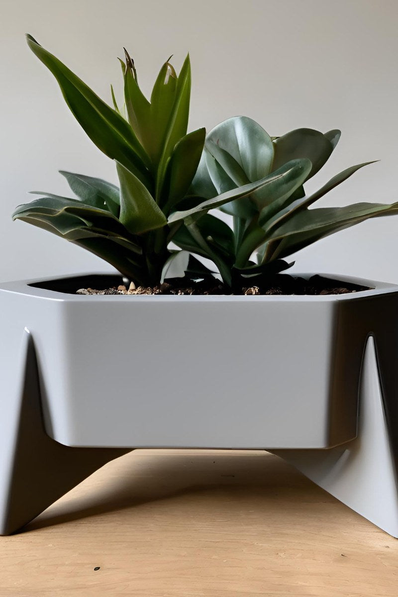 Zeshoekige bloempot met geometrische vorm, close-up