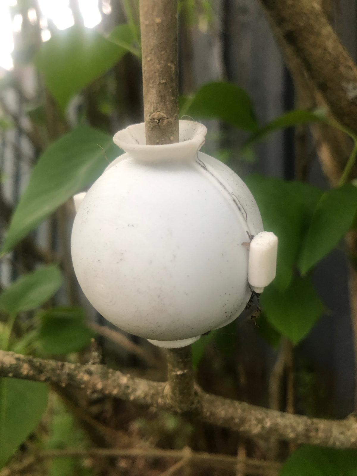 Stekbol voor het vermeerderen van planten met scharnier en clips