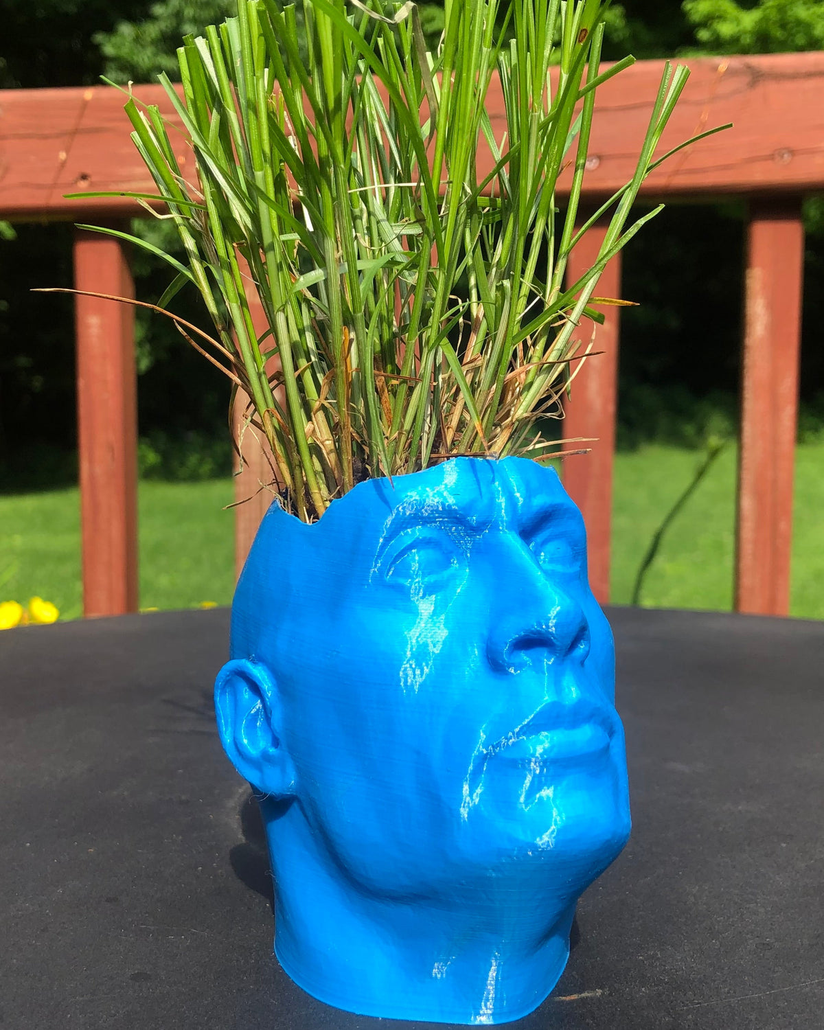 The Rock-bloempot in de vorm van Dwayne Johnson