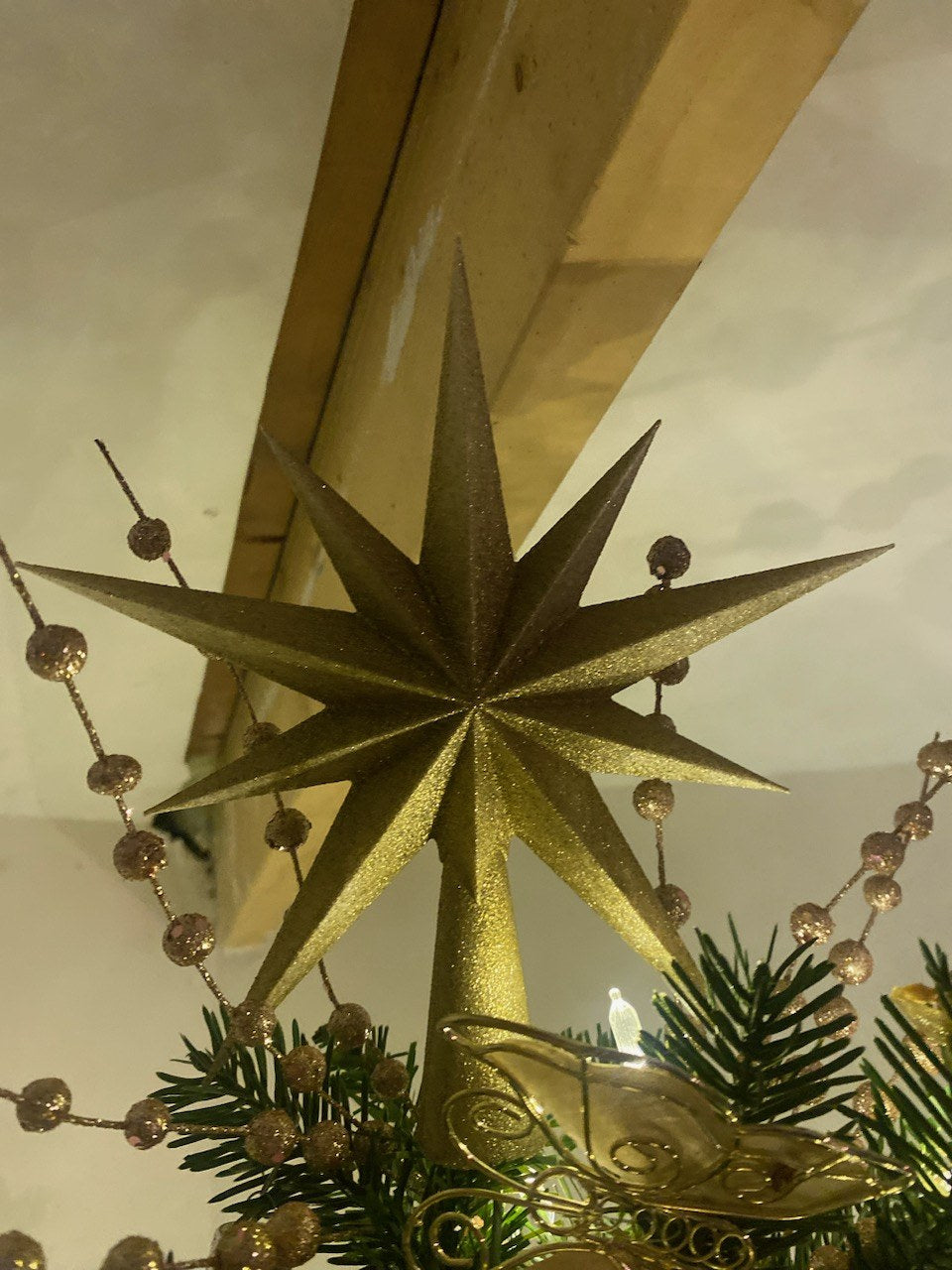 Kerstboomster met tien punten