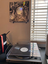 Wandhouder voor vinylplaten – Now Playing-display