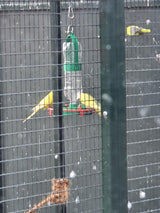 Vogeldrinkbak met zitstokje en flessenhouder voor tuinvogels