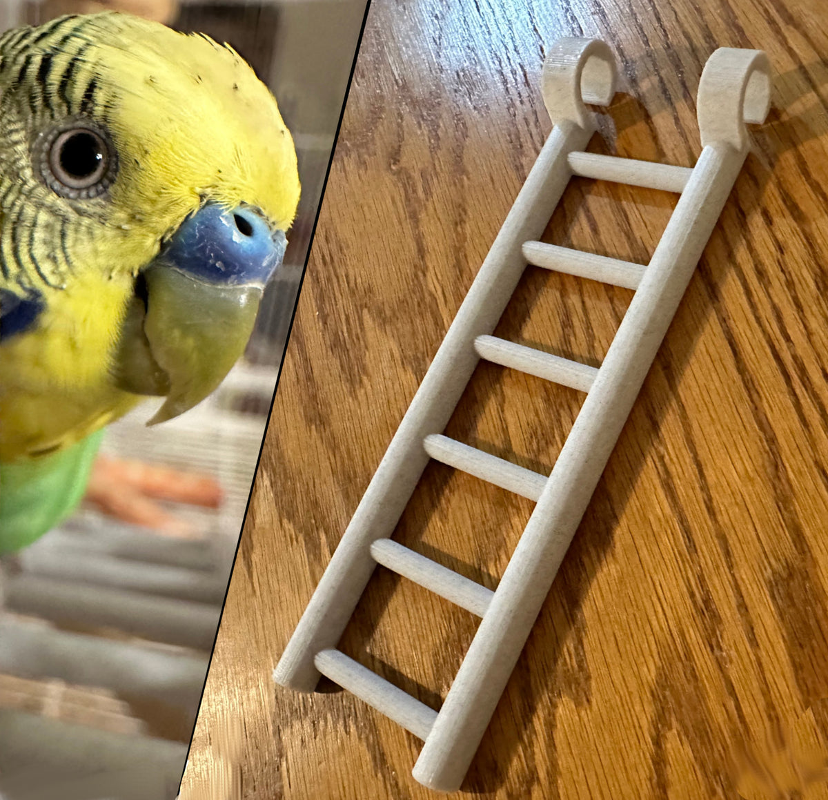 Laddertje voor vogelkooi voor grasparkieten