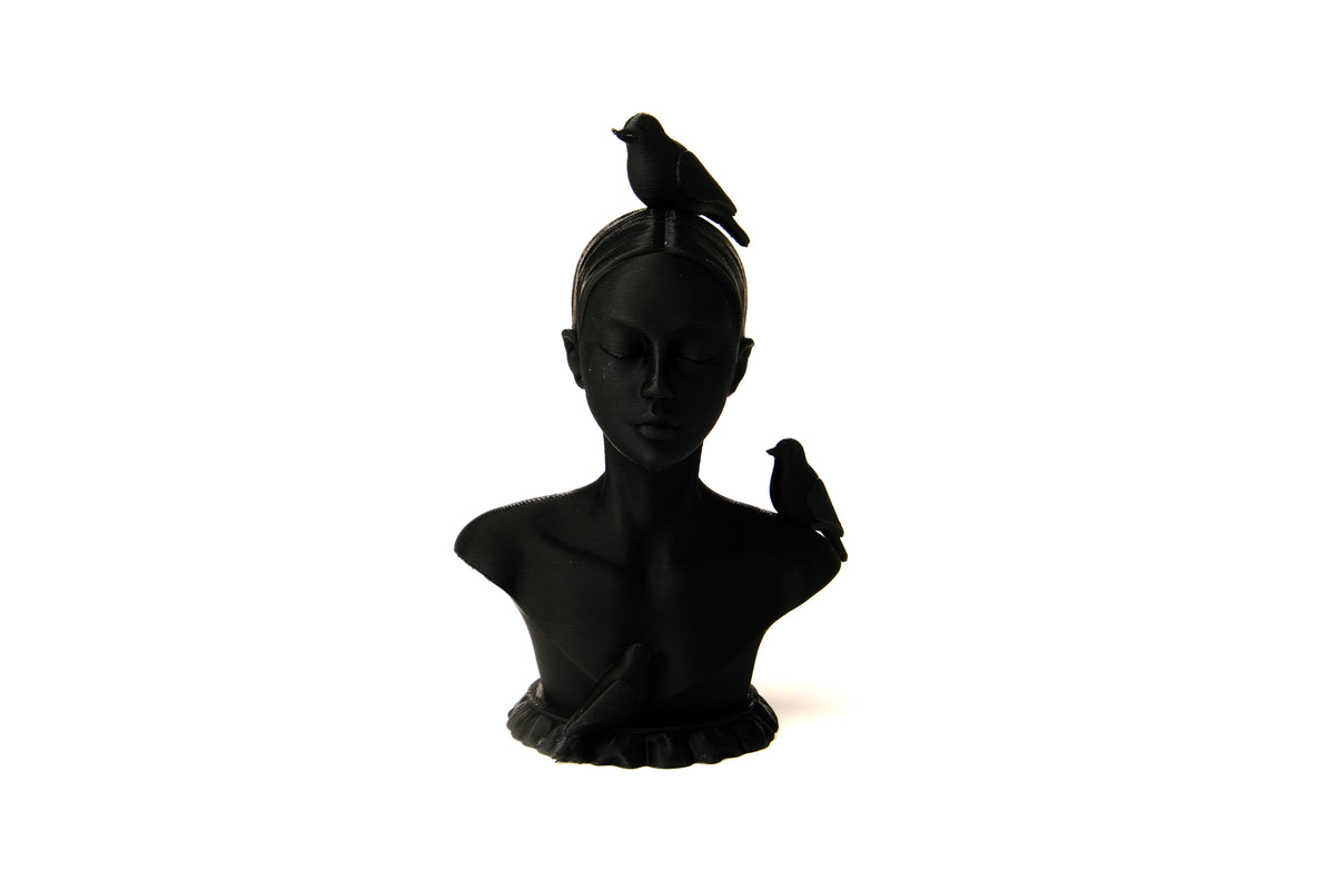 Buste van een vrouw met vogels op een minimalistische plank met boeken en een gedroogde plant