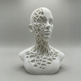 Fractured Elegance – mensensculptuur op minimalistische plank in gedempte tinten