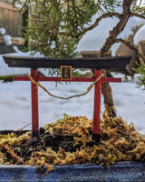 Inari-toripoort voor bonsai – miniatuur van 8 cm