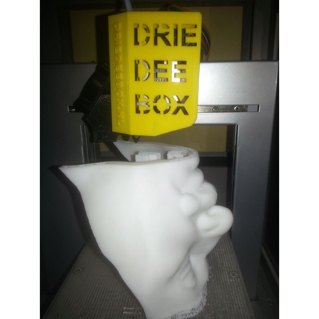 Buste van Albert Einstein op basis van een 3D-scan – 34 cm