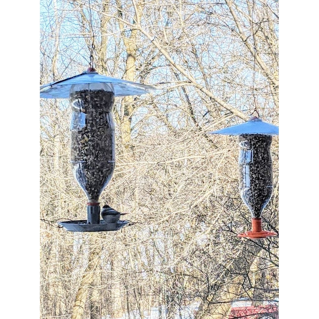 Vogelvoederhuisje voor frisdrankfles – met brede voet voor de tuin